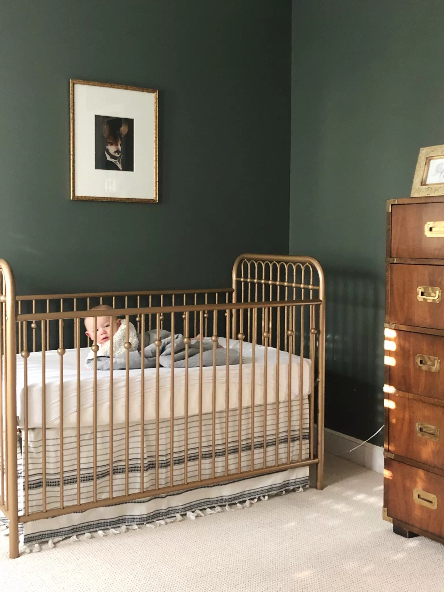 Baby boy dark green nursery gold crib