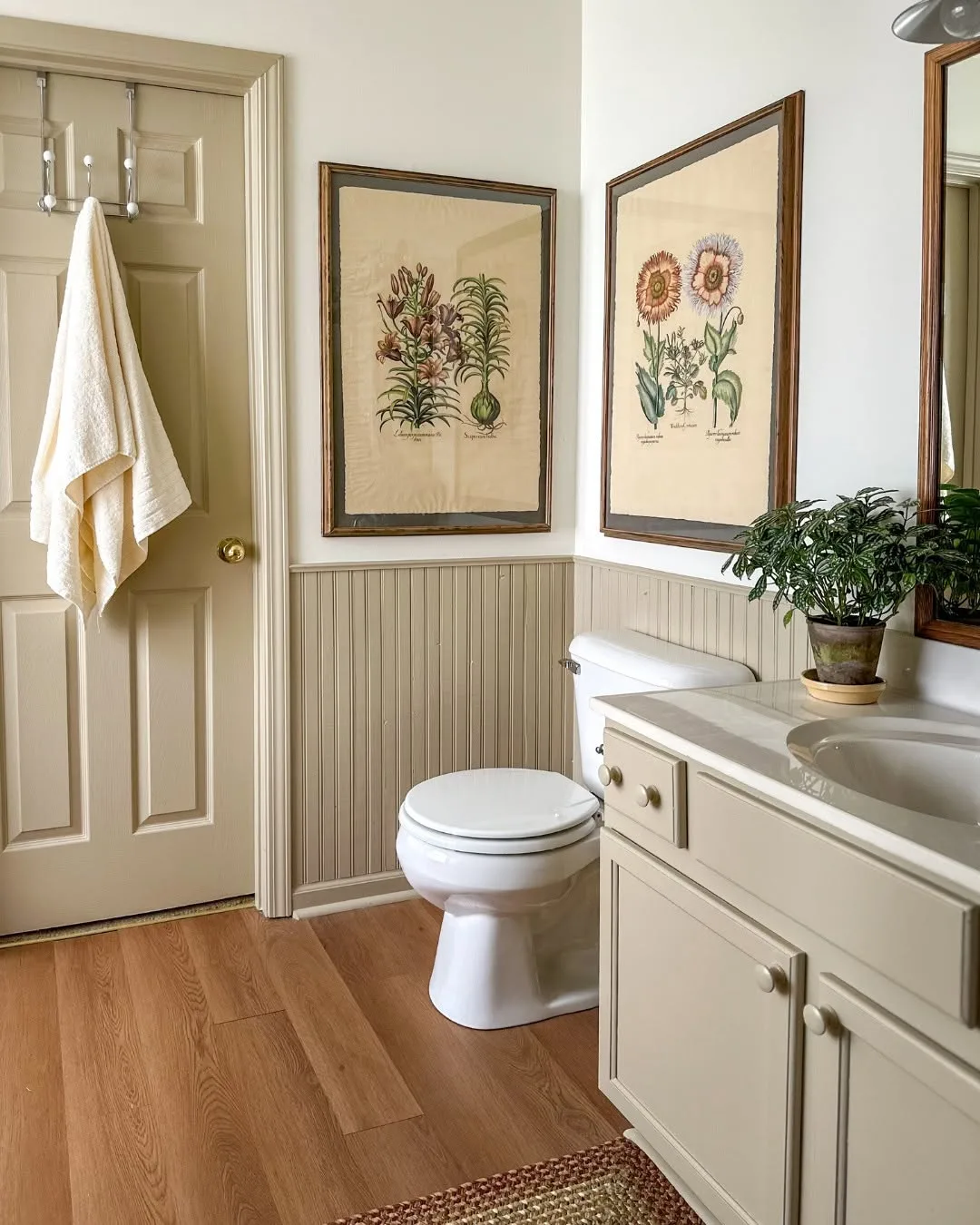 All About Sherwin-Williams Universal Khaki (SW 6150), The 2026 Color of the Year